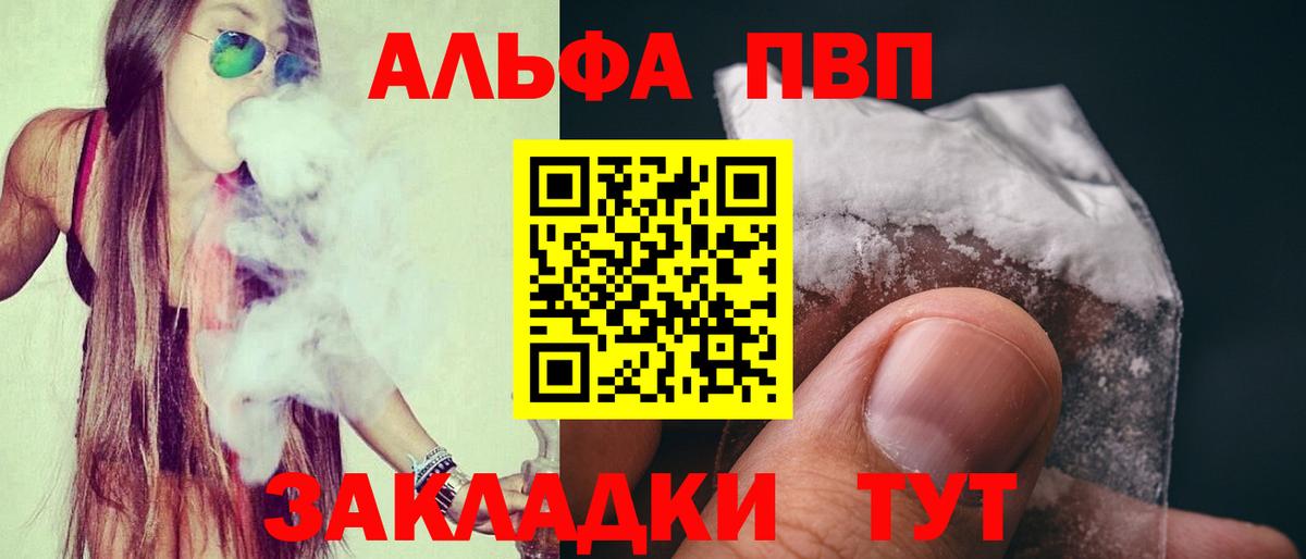 Alfa_PVP СК КРИС Кизилюрт