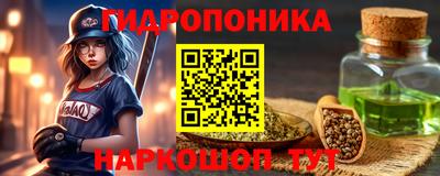 гашик Бердск