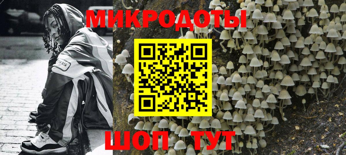 где найти наркотики  Псилоцибиновые грибы Cubensis  Вход с VPN  Кизилюрт 